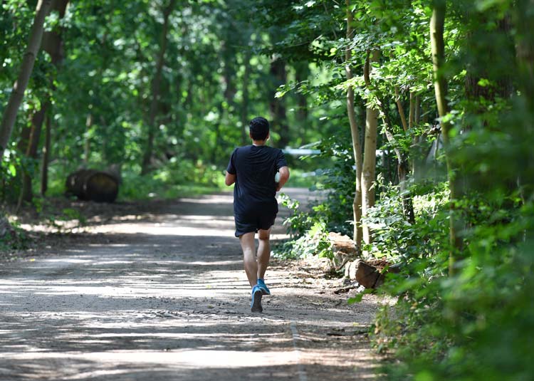 Einzelner Jogger auf Waldweg © Frank Middendorf - stock.adobe.com Einzelner Jogger auf Waldweg