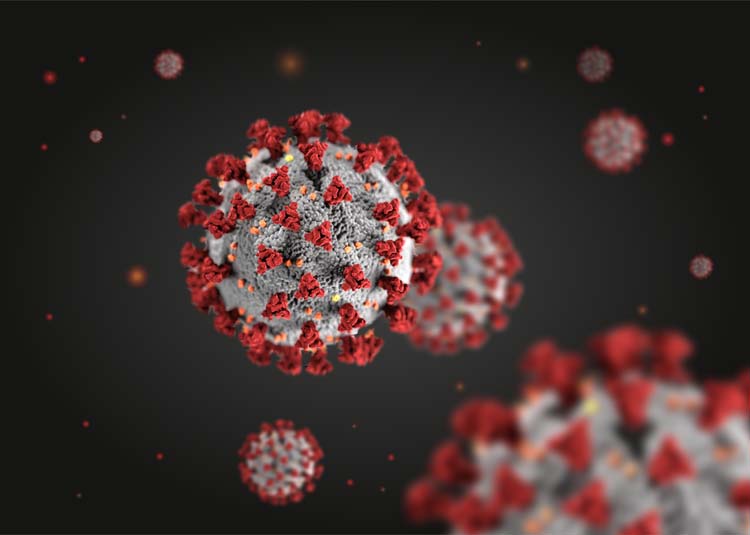 Grafische Darstellung eines Coronaviruses © Mauro Rodrigues - stock.adobe.com Grafische Darstellung eines Coronaviruses